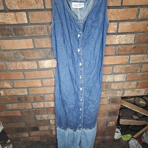 Classic blues jean floral button down dress